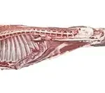 شقه گوسفند با ماهیچه