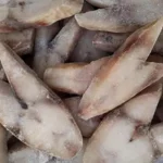 فیله ماهی گالیت مارین - شارین