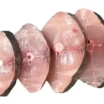 فیله شیر عمان مارین - شارین