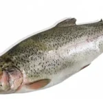 ماهی قزل الا شهر کرد