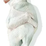 شقه بوقلمون