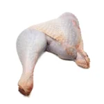 ران بوقلمون